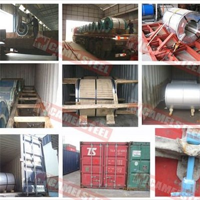 PPGL In Export Packing