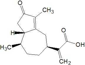 Rupestonic Acid 