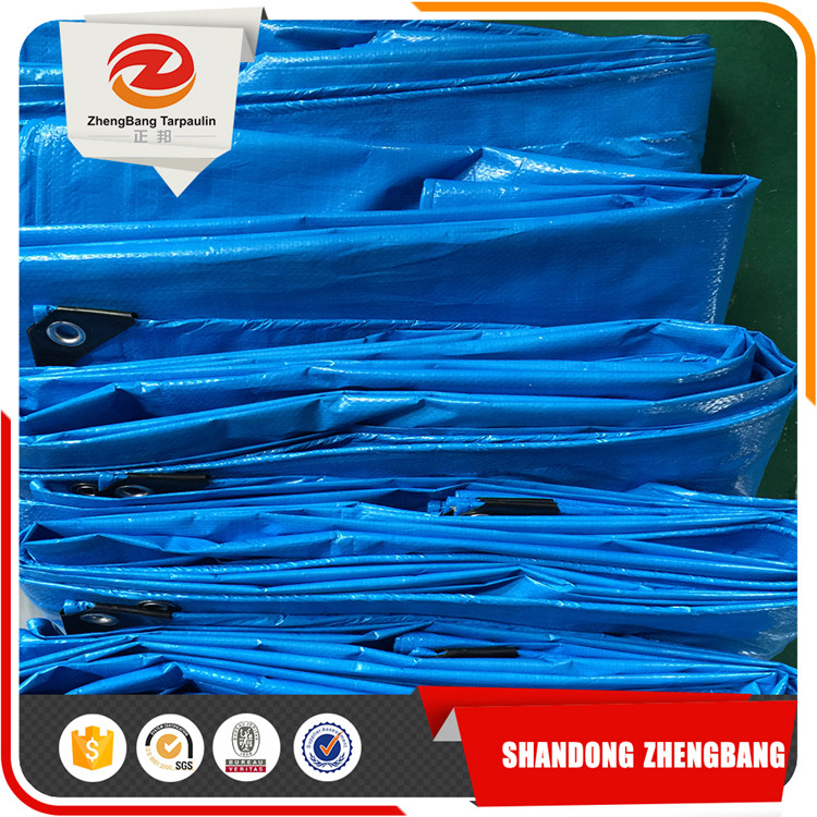 Blue PE tarpaulin Plastic Sheet factory