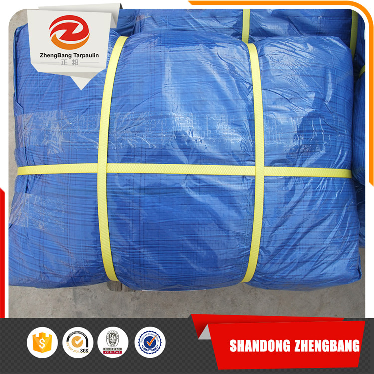 PE tarpaulin Canvas sheet with various specifications