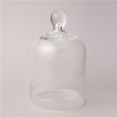 Clear Glass Bell Jar With Knob Top