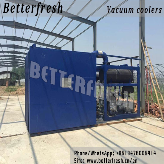 China Manufacture and Installation of fast Vegetables Cooling Vacuum Cooling PreCooling Hydro Cooling Forced Air cooling 