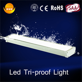 4ft LED Linear Light