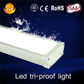 5ft LED Tri-proof Light
