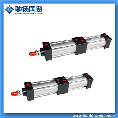 Customize Stainless Steel Pneumatic Cylinder