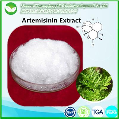 Artemisinin Extract