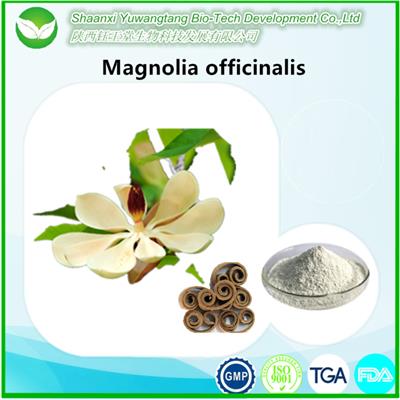 Magnolia Officinalis Extract