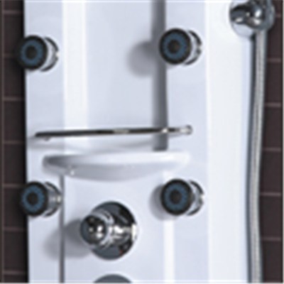 CICCO Acrylic Shower Panel SP5-006