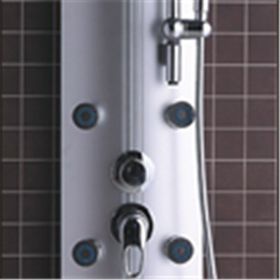 CICCO Hot Sale PVC Shower Panels SP3-004
