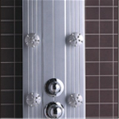 CICCO Luxury Hot Sale PVC Shower Panels SP3-002