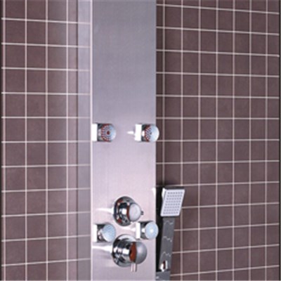 CICCO Stainless Steel Shower Panels With Hot Sell SP8-025