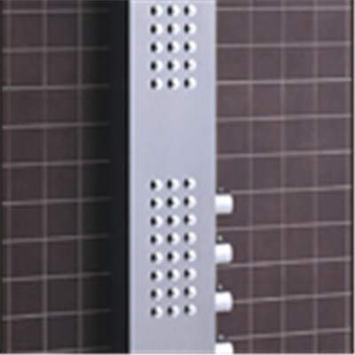 CICCO New Products PVC Shower Panel SP1-025
