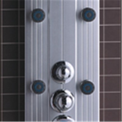 CICCO PVC Shower Panels For Bathroom SP3-006