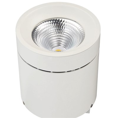30W COB Surface Mounted Downlight