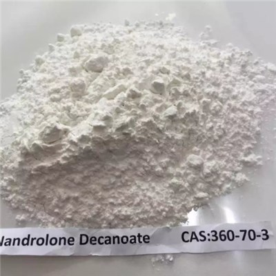 Nandrolone Decanoate（360-70-3）