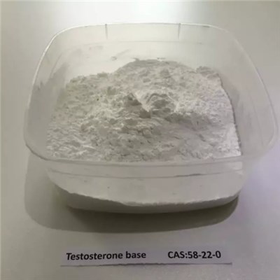 Testosterone Base（58-22-0）