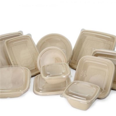 Environmental Compostable Disposable Sturdy Molded Pulp Takeaway Lunch Plates Boxes Containers