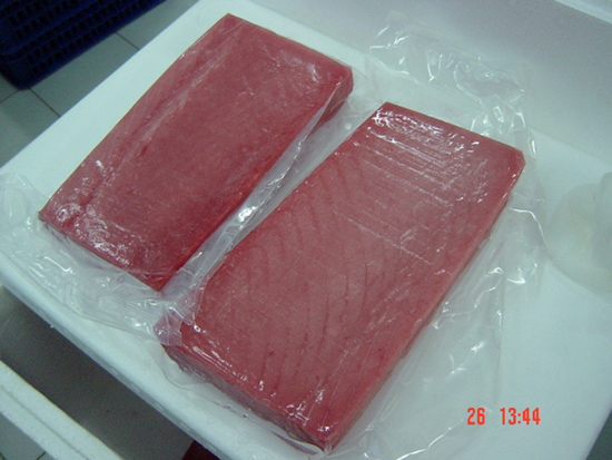 Frozen Tuna