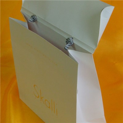 White Cardboard Gift Bag With Ribbon Handle