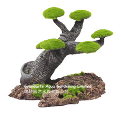 Мосс пень, дерево бонсай PX511