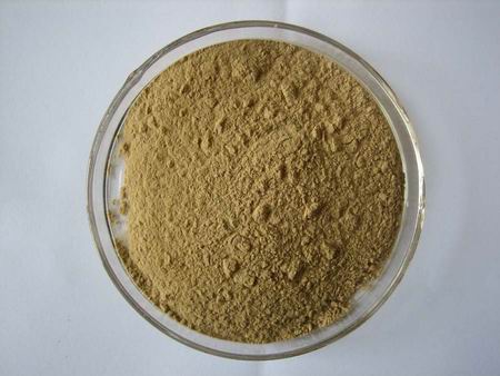 Tribulus Terrestris Powder Extract