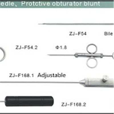 Endoscopic Surgical Instruments
