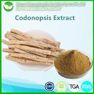 Codonopsis Extract