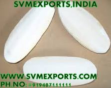 Cuttlefish Bone Suppliers India