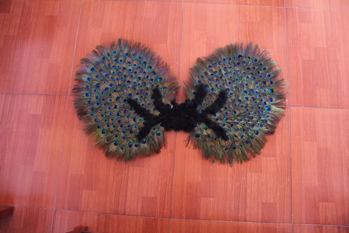 feather angel wings for sale - China supplier W-1007