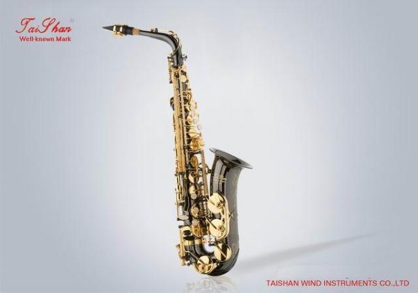 Alto saxophone TSAS-660