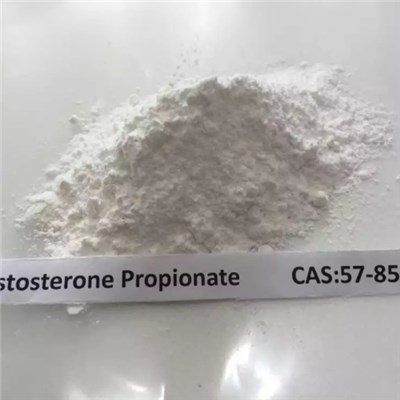 Testosterone Propionate(57-85-2)