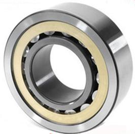 NF Series Cylindrical Roller Bearings