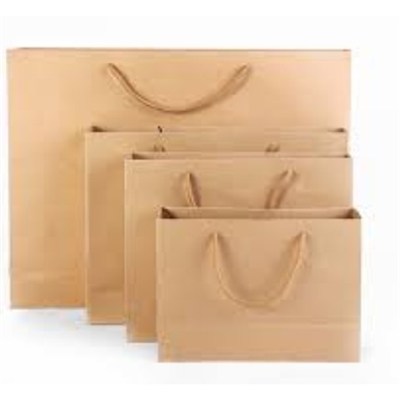 Attractive Designs Recycled Kraft Paper Bag