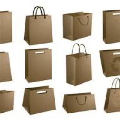 Diversified In Packaging Recycled Shopping Paper Bag