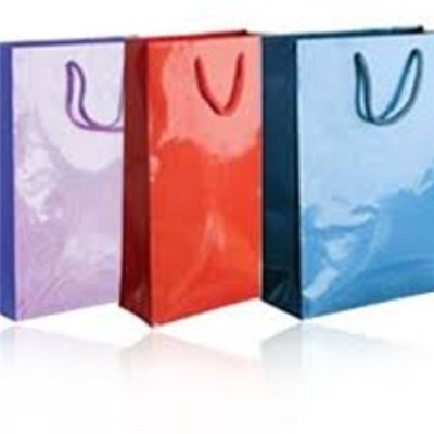 Diversified Latest Designs High Gloss Paper Bag