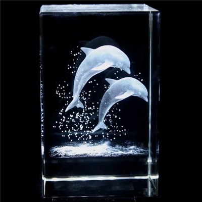 3d Laser Dolphin Crystal Cubes Gifts
