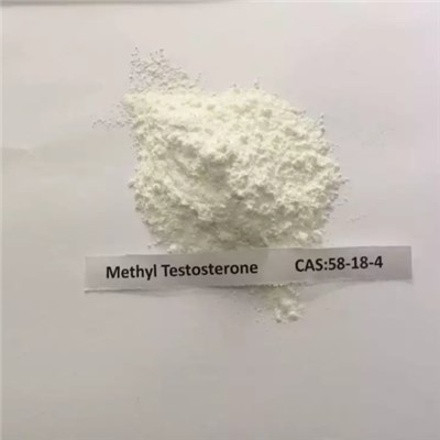 Methyl Testosterone(58-18-4)