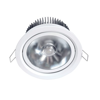 21W LED Down Light Lens Distribution High CRI (Ra>90) COB LED