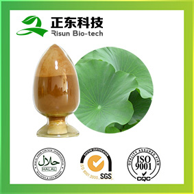 Lotus Leaf Extract Can Regulate the High Blood Pressure, Promote Blood Circulation