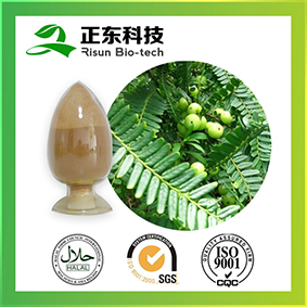 natural plant extract Amla Fruit Extract powder