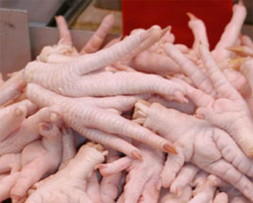  Quality Halal Frozen Whole Chicken And Parts / Gizzards / Thighs / Feet / Paws / Drumsticks READY FOR EXPORT