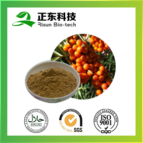 GMP Factory Pure Natural Seabuckthorn Extract Powder