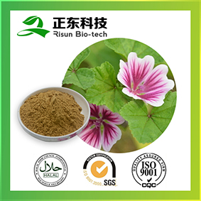 Mallow Extract mainly treat dyschizia and oliguria