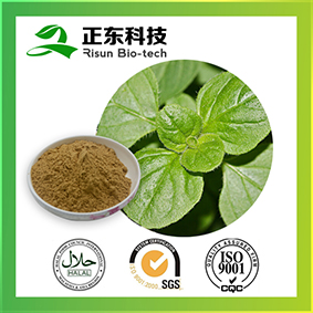 Origanum Herb Extract for antibacterial and improve immune