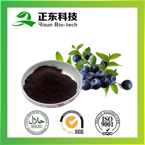 Bilberry Extract---High Concertration of Anthocyanins