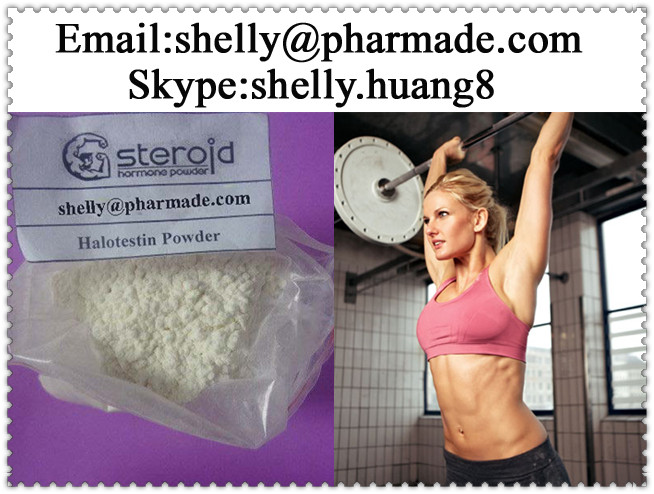 Fluoxymesterone Halotestin Powder