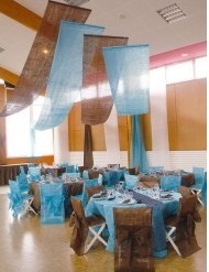 Nonwoven Chair Covers And Tentures