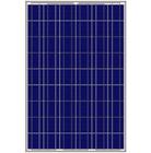  Polycrystalline Solar Panel 