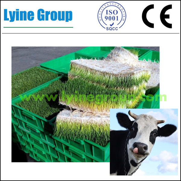 Lyine Hydroponic Machine - animal fodder making machine