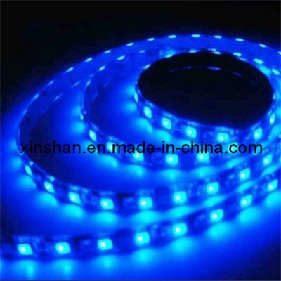 LED  lights  strip  blue 5050B30R-W12